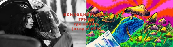 марки lsd Бородино
