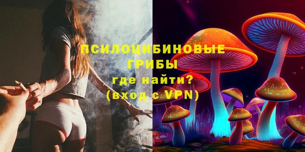 марки lsd Бородино