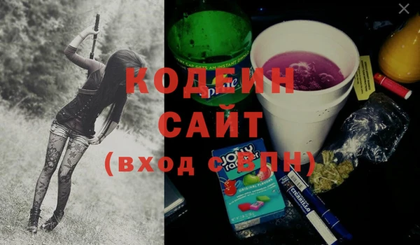 мдпв Рославль