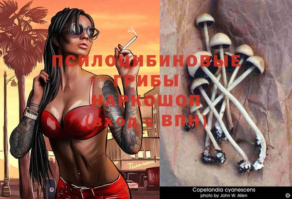 стафф Бугульма