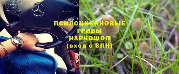 марки lsd Бородино